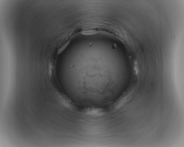 X0000111790235200907231149