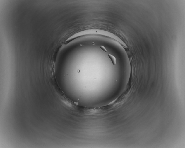 X0000111790237200907231149