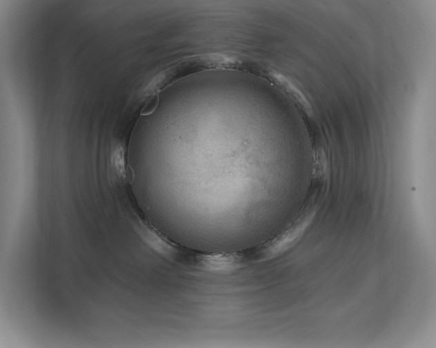 X0000111790238200907231149