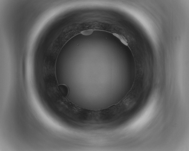 X0000111790239200907231149