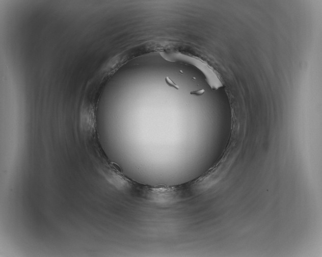 X0000111790240200907231149