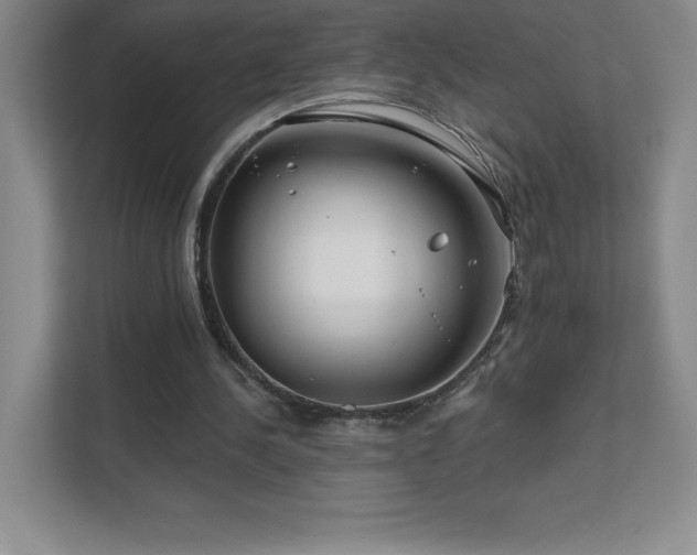 X0000111790244200907231149