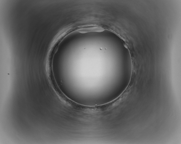 X0000111790245200907231149