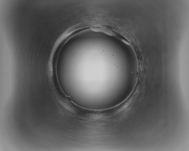 X0000111790246200907231149