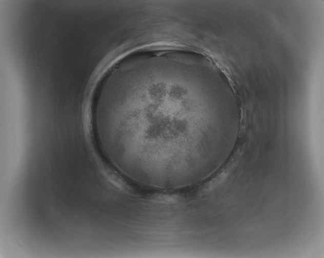 X0000111790247200907231149