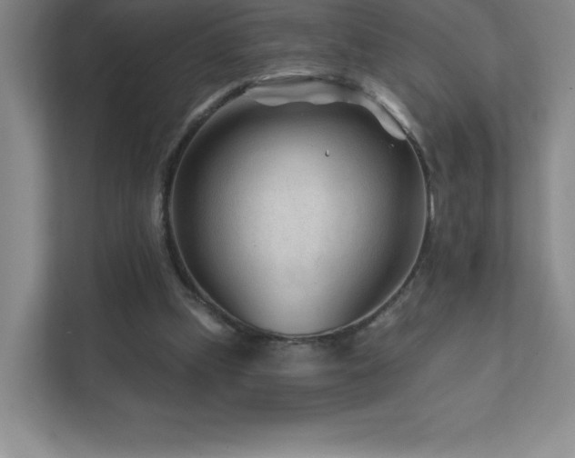 X0000111790249200907231149