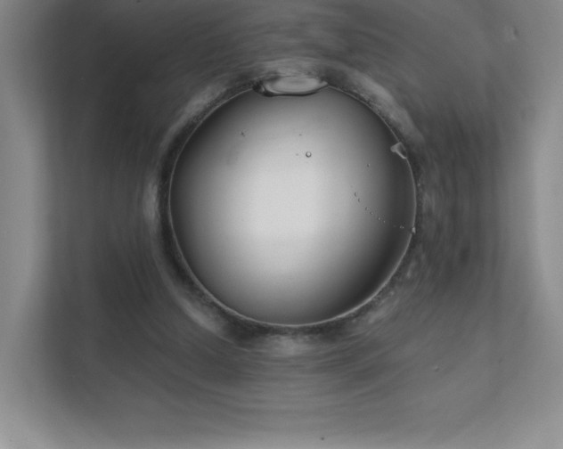 X0000111790250200907231149