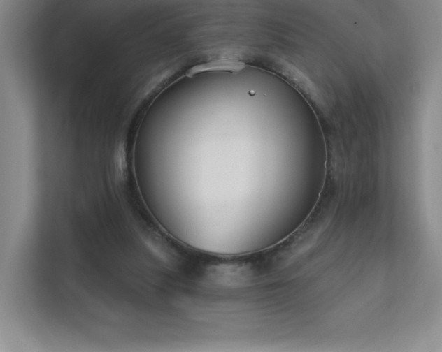 X0000111790251200907231149