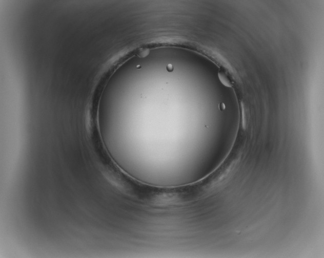 X0000111790252200907231149