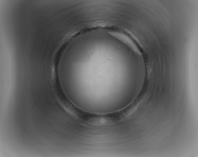 X0000111790254200907231149