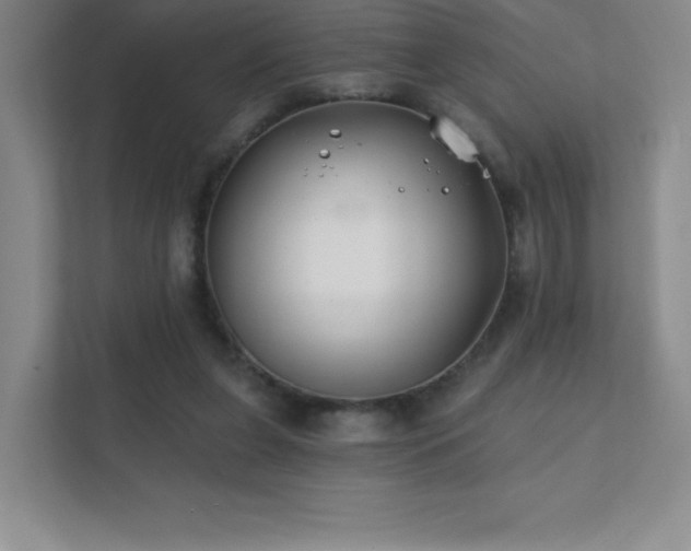 X0000111790255200907231149