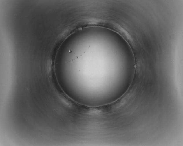 X0000111790257200907231149