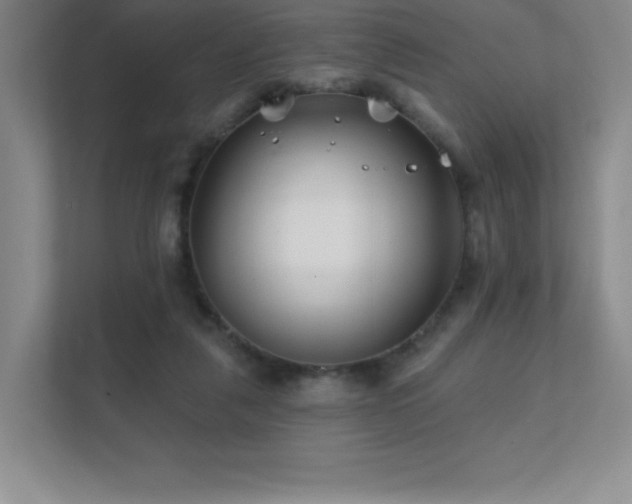 X0000111790259200907231149