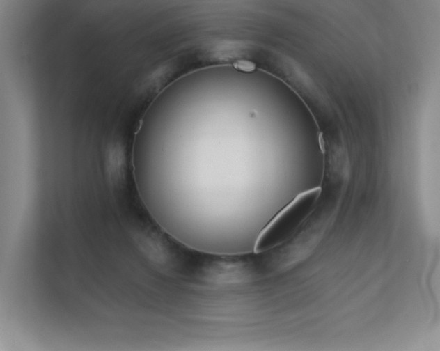 X0000111790260200907231149