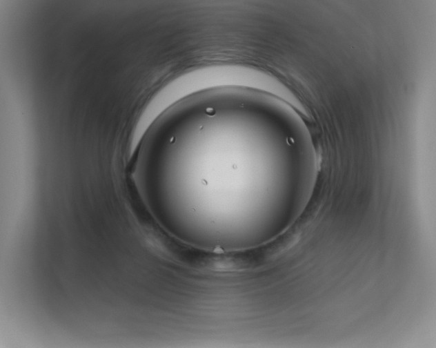 X0000111790264200907231149