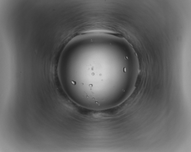 X0000111790268200907231149