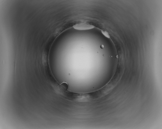 X0000111790274200907231149