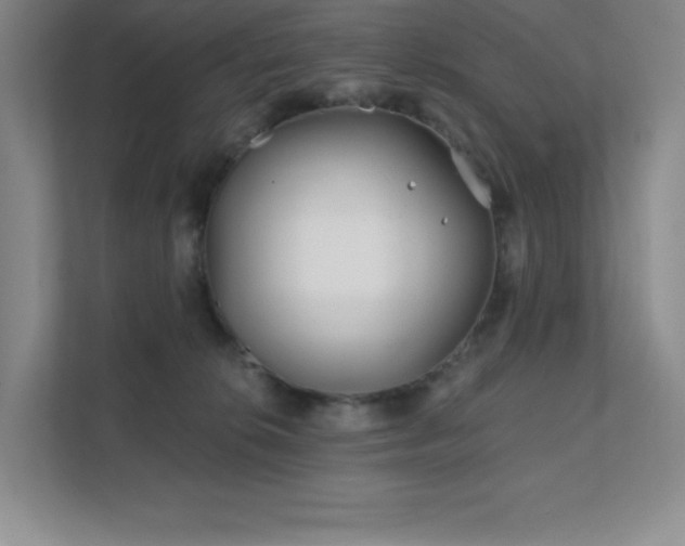 X0000111790276200907231149