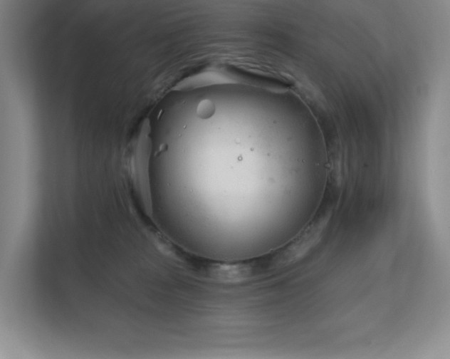 X0000111790277200907231149