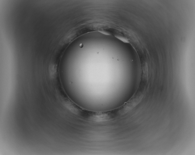 X0000111790278200907231149