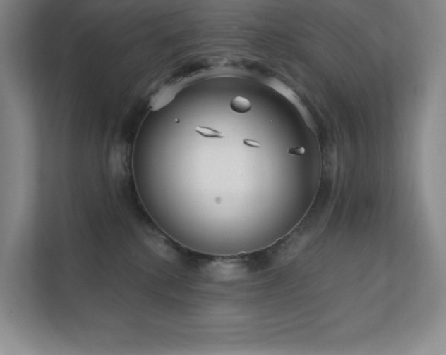 X0000111790280200907231149