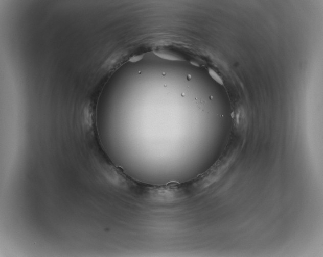 X0000111790282200907231149