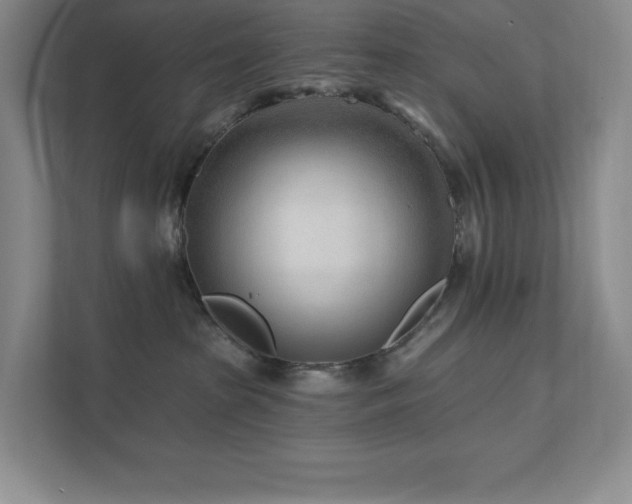 X0000111790285200907231149