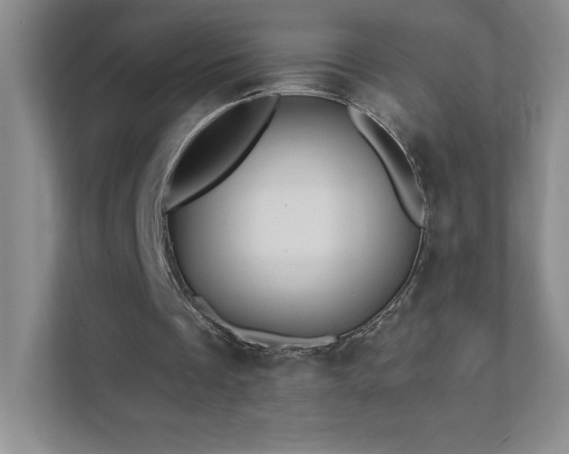 X0000111790289200907231148