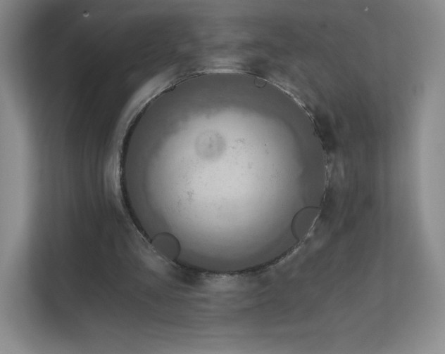 X0000111790293200907231148