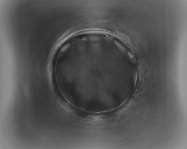 X0000111790295200907231148