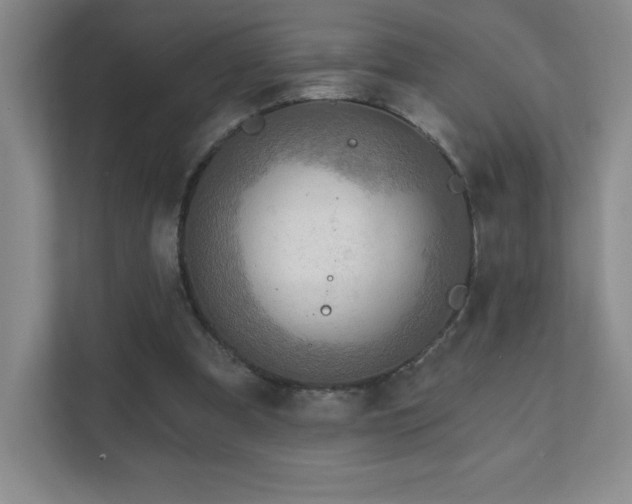 X0000111790297200907231148