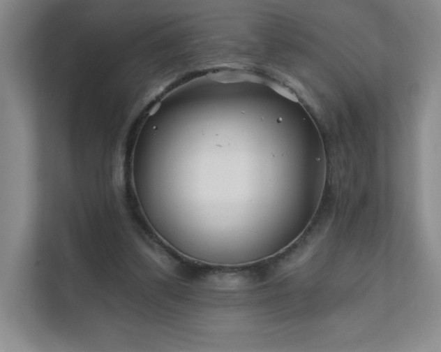 X0000111790299200907231148