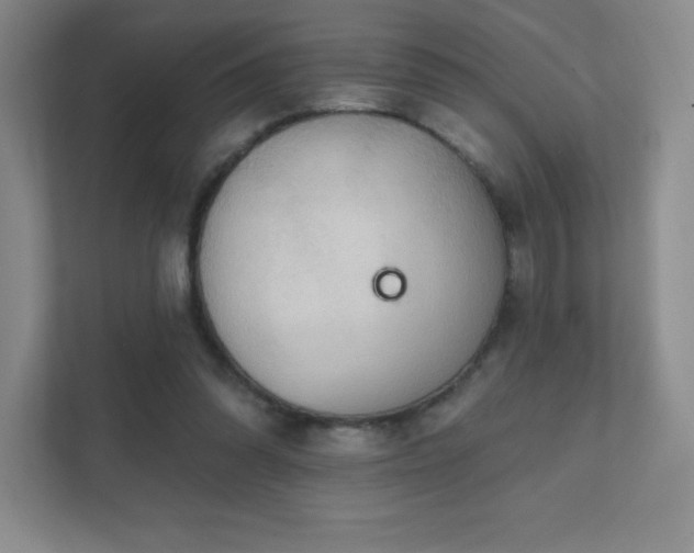 X0000111790302200907231148