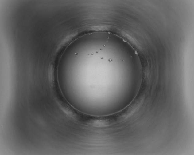 X0000111790303200907231148