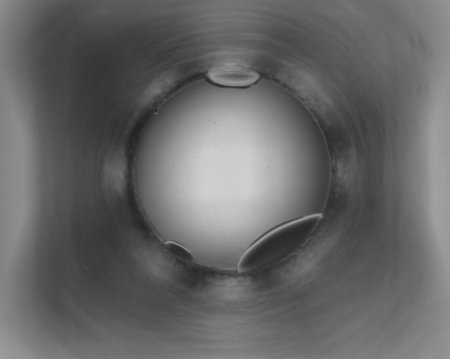 X0000111790304200907231148