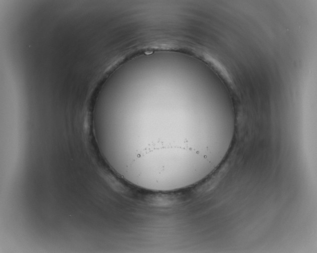 X0000111790305200907231148