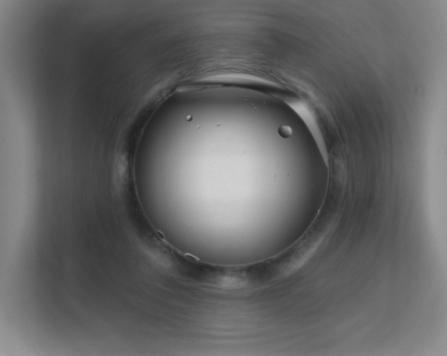 X0000111790308200907231148