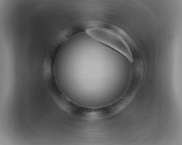 X0000111790312200907231148