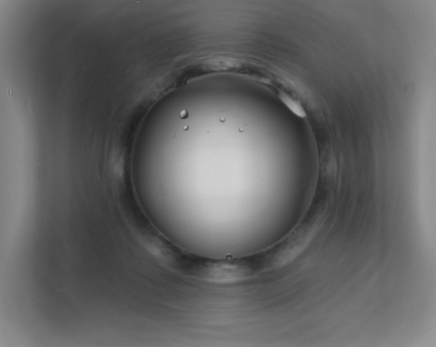 X0000111790315200907231148