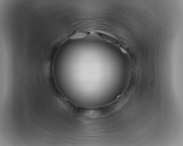 X0000111790319200907231148