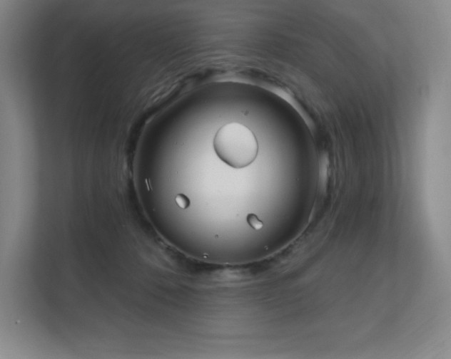 X0000111790320200907231148