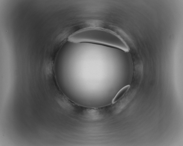 X0000111790325200907231148