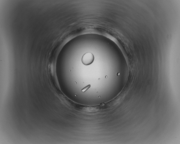 X0000111790327200907231148