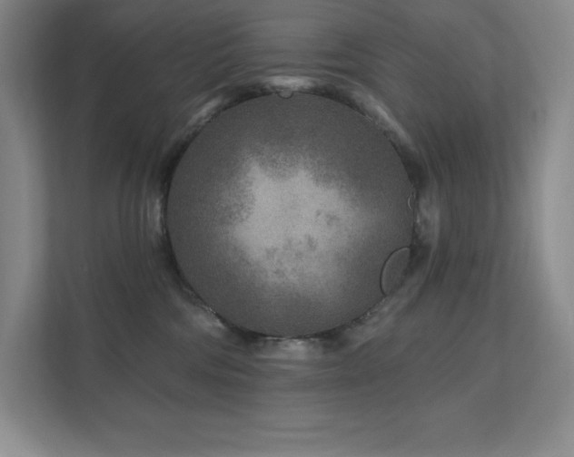 X0000111790330200907231148