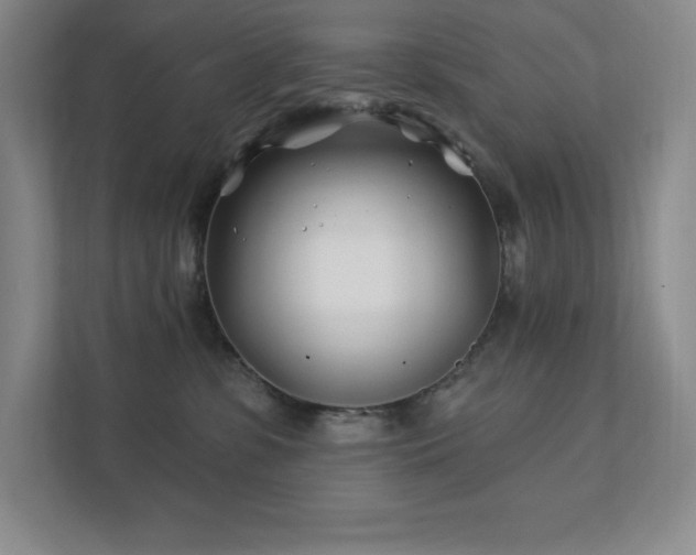 X0000111790331200907231148