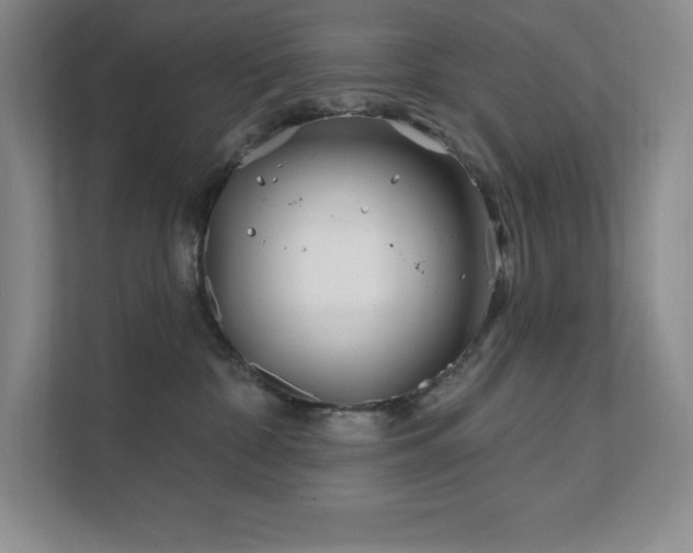 X0000111790332200907231148