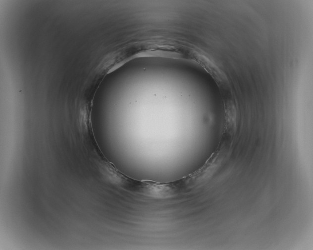 X0000111790333200907231148