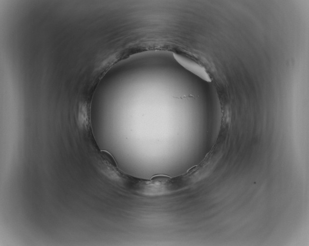 X0000111790335200907231148