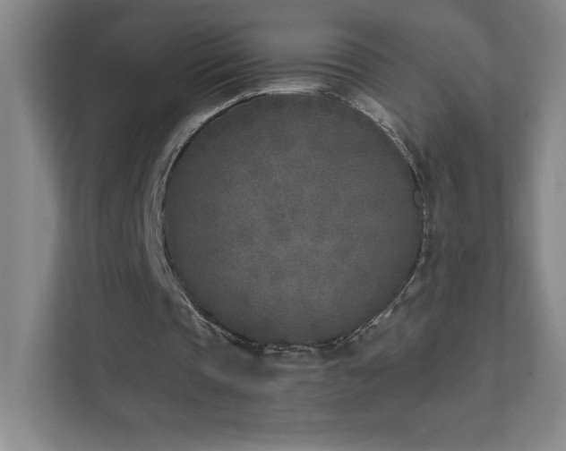 X0000111790337200907231147