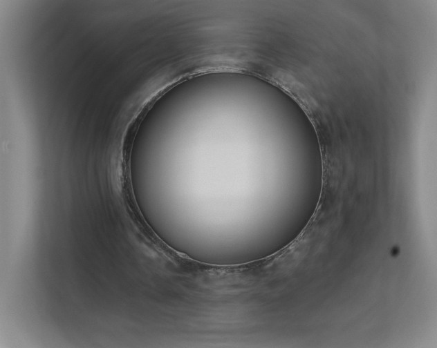 X0000111790338200907231147